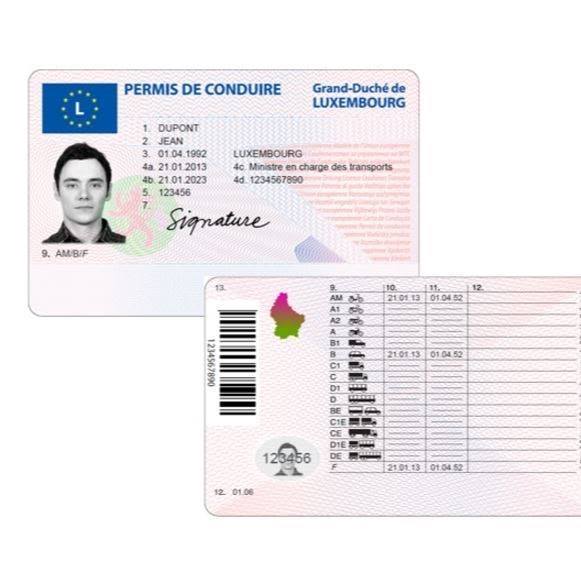 Buy Luxembourg driver's license